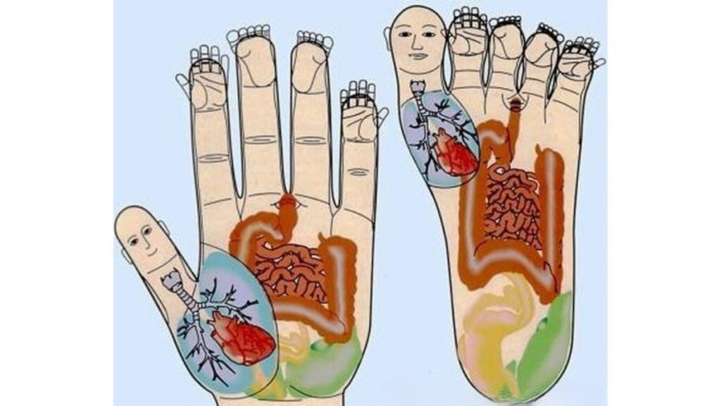 Su jok mani e piedi